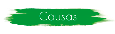 causas